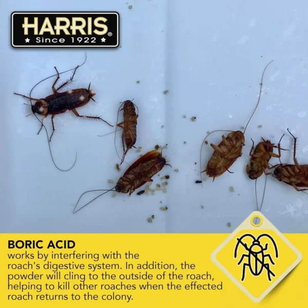 Boric Acid Roach Powder With Lure