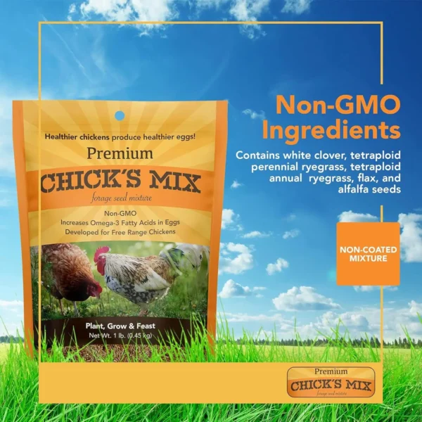 Barenbrug Premium Free Range Chicks Mix Forage Seed Mixture, 1 lb, One Pack - Image 3