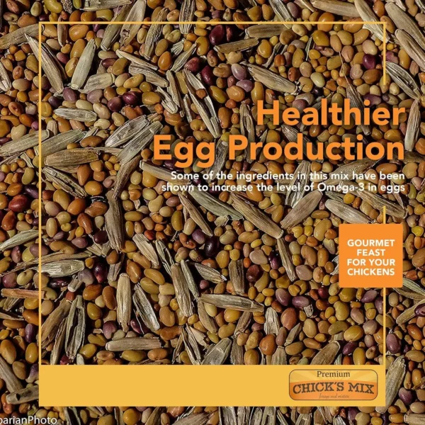 Barenbrug Premium Free Range Chicks Mix Forage Seed Mixture, 1 lb, One Pack - Image 2